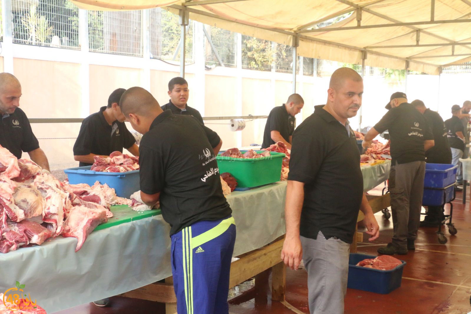 lo7om jam3iya u3 (27).jpg